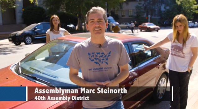 Proposed 'Hot Dog Bill' would allow pets to be rescued from hot cars - Marc Steinorth Assembly