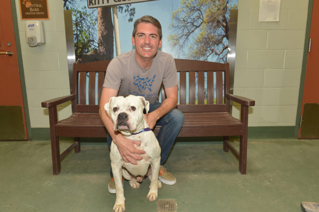 Assemblyman Marc Steinorth hosting pet adoption event again this summer